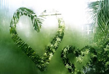 天下足球里的C罗为何总能让球迷热泪盈眶？